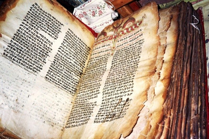 amharic orthodox bible 81 pdf
